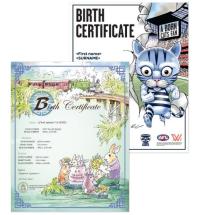 Chinese zodiac commemorative birth certificate laid over AFL commemorative birth certificate