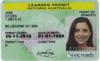 Driver licence