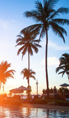 Palm trees, blue skies and water